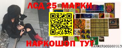 шишки Гусиноозёрск