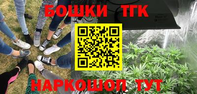 шишки Гусиноозёрск