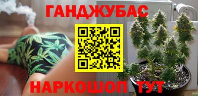 шишки Гусиноозёрск