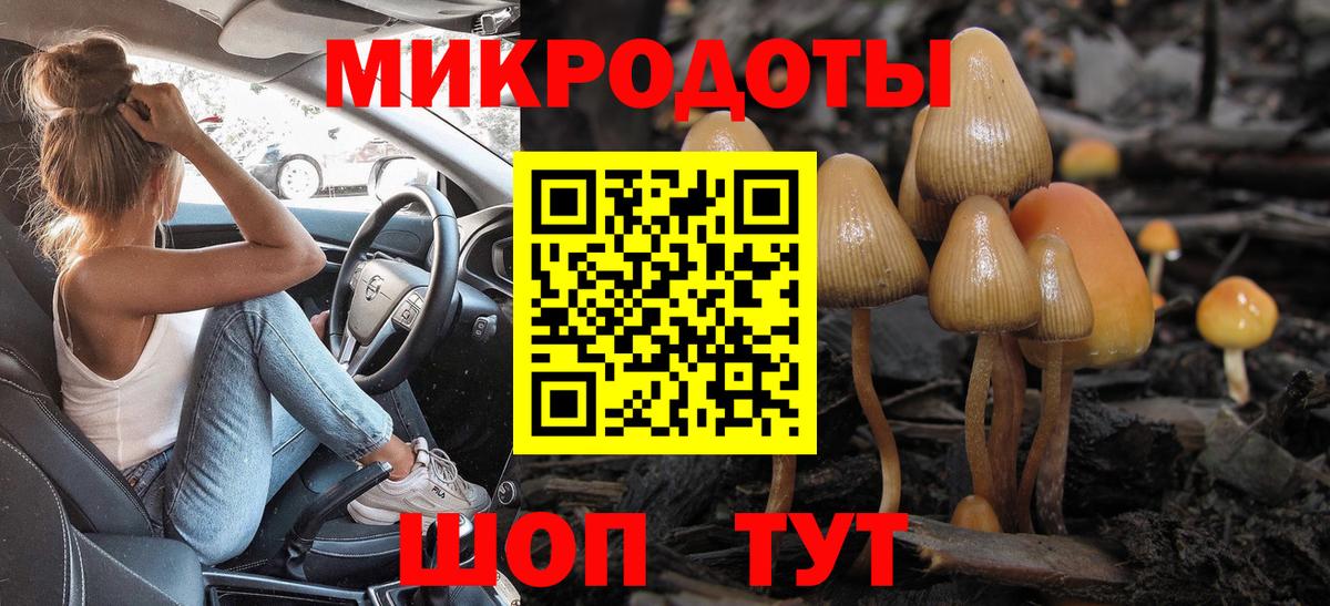 Миасс  Псилоцибиновые грибы Psilocybe  Вход с VPN 