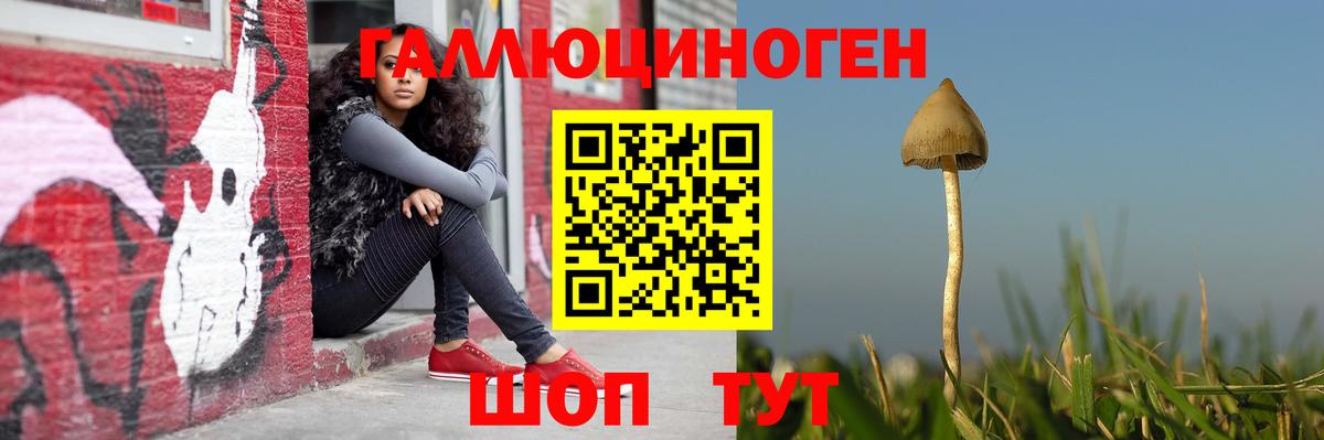 Псилоцибиновые грибы мухоморы Миасс